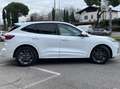 Ford Kuga 2.5 full hybrid ST-Line X 190cv *GARANZIA* Weiß - thumbnail 6