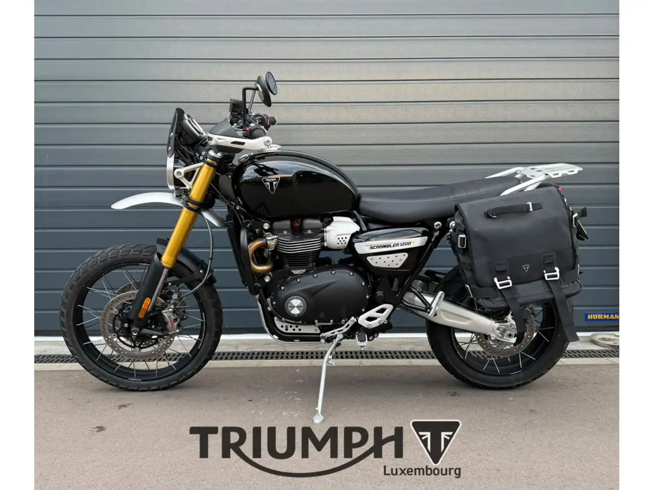 Triumph Scrambler