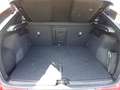 Volvo C40 P8 1st Edition Recharge Pure Electric AWD Rot - thumbnail 20