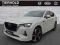 Volvo C40 P8 1st Edition Recharge Pure Electric AWD Rot - thumbnail 2
