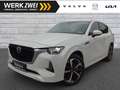 Volvo C40 P8 1st Edition Recharge Pure Electric AWD Rot - thumbnail 1