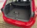 Ford Focus Titanium X mHEV (mit AHK) Rouge - thumbnail 4