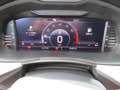 Skoda Kamiq Drive 125 AHK PDC ACC Kessy Gri - thumbnail 15