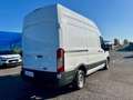 Ford Transit 310 2.2TDCi PL-TM Furgone Trend + IVA Blanc - thumbnail 4