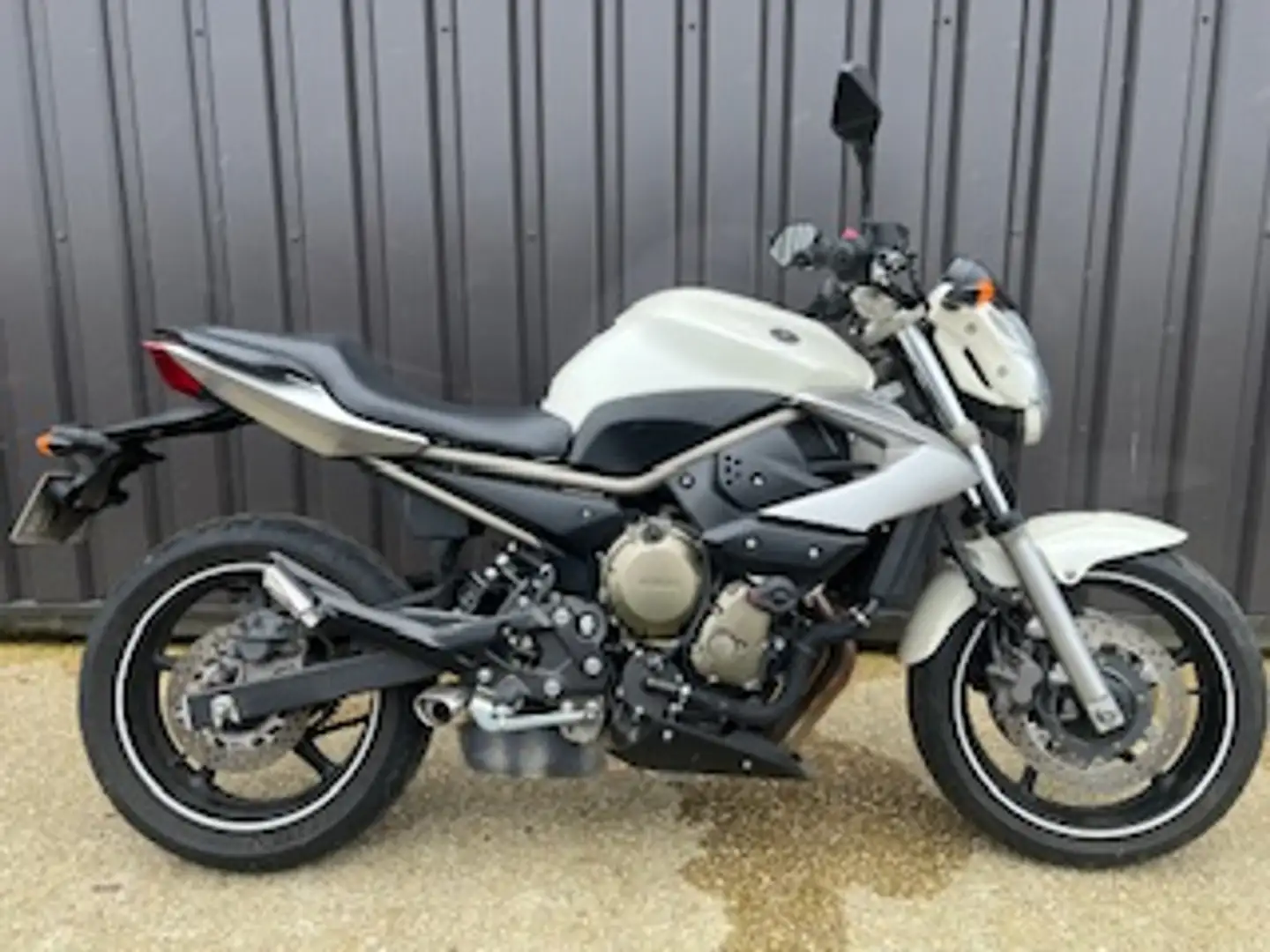 Yamaha XJ 6 Beige - 1
