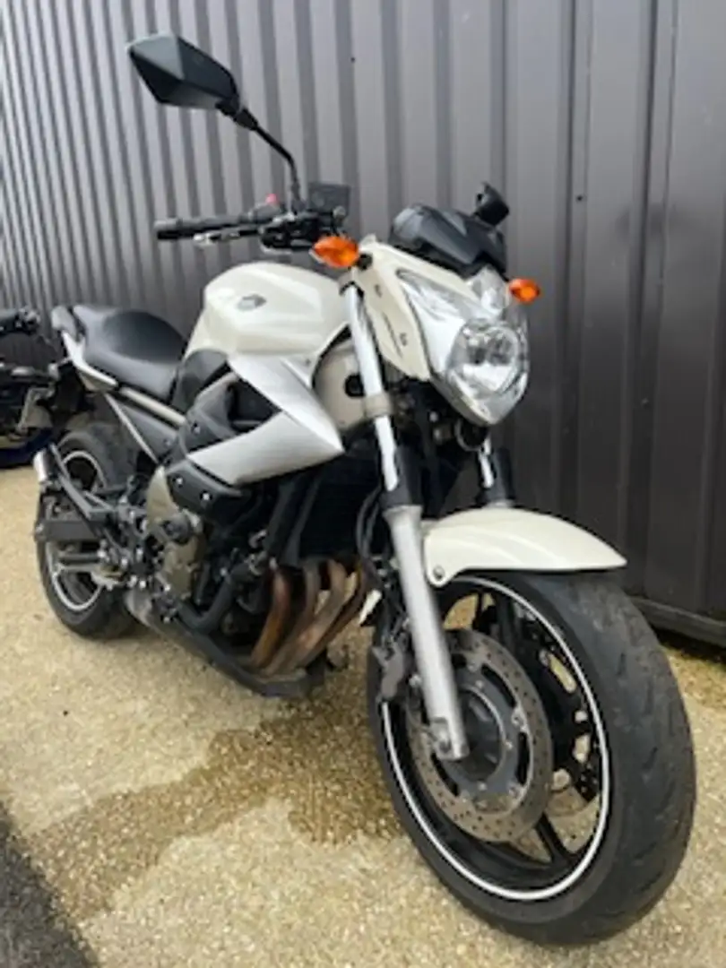 Yamaha XJ 6 Beige - 2
