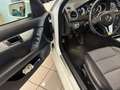Mercedes-Benz C 220 C 220 CDI BlueEFFICIENCY Avantgarde Bianco - thumbnail 7