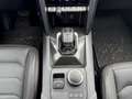 Volkswagen Amarok DC 3,0 TDI PanAmericana StandHZG AHK-abnehmbar Nav Vert - thumbnail 20