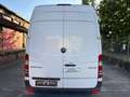 Mercedes-Benz Sprinter 313 CDi Kasten H+L 1.Hand EURO-5 Weiß - thumbnail 14