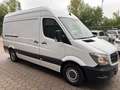Mercedes-Benz Sprinter 313 CDi Kasten H+L 1.Hand EURO-5 Weiß - thumbnail 3