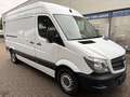 Mercedes-Benz Sprinter 313 CDi Kasten H+L 1.Hand EURO-5 Weiß - thumbnail 9