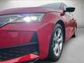 Skoda Octavia Combi 2.0 TDI 150PS Sportline ABGABE 05.2026 Rot - thumbnail 4
