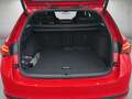 Skoda Octavia Combi 2.0 TDI 150PS Sportline ABGABE 05.2026 Rot - thumbnail 5
