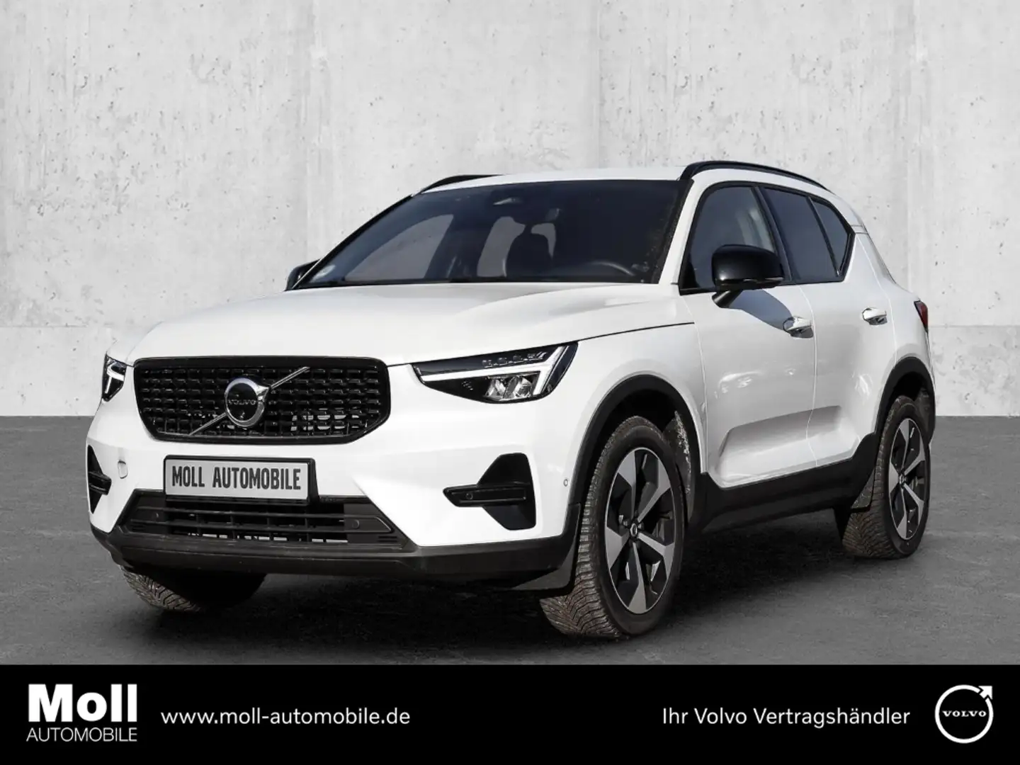 Volvo XC40 Plus Dark 2WD B4 EU6d digitales Cockpit Memory Sit Alb - 1