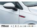 Volkswagen Golf GTI VIII 2.0 TSI DSG PANO HARMAN-KARDON NAVI KAMERA AC Weiß - thumbnail 7