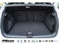 Volkswagen Golf GTI VIII 2.0 TSI DSG PANO HARMAN-KARDON NAVI KAMERA AC Weiß - thumbnail 9