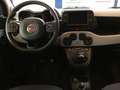Fiat Panda 1.0 FireFly S&S Hybrid City Cross S4 MY21 Grigio - thumbnail 10