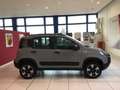 Fiat Panda 1.0 FireFly S&S Hybrid City Cross S4 MY21 Grigio - thumbnail 2