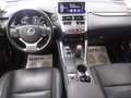 Lexus NX 300h Hybrid 4WD Executive Schwarz - thumbnail 7