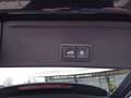 Audi A4 Avant 50 TDI quattro El. Panodach Navi Soundsystem Negro - thumbnail 16