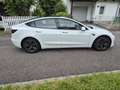 Tesla Model 3 Model 3 Standard Range RWD Plus 57,5kWh RWD Plus Weiß - thumbnail 3