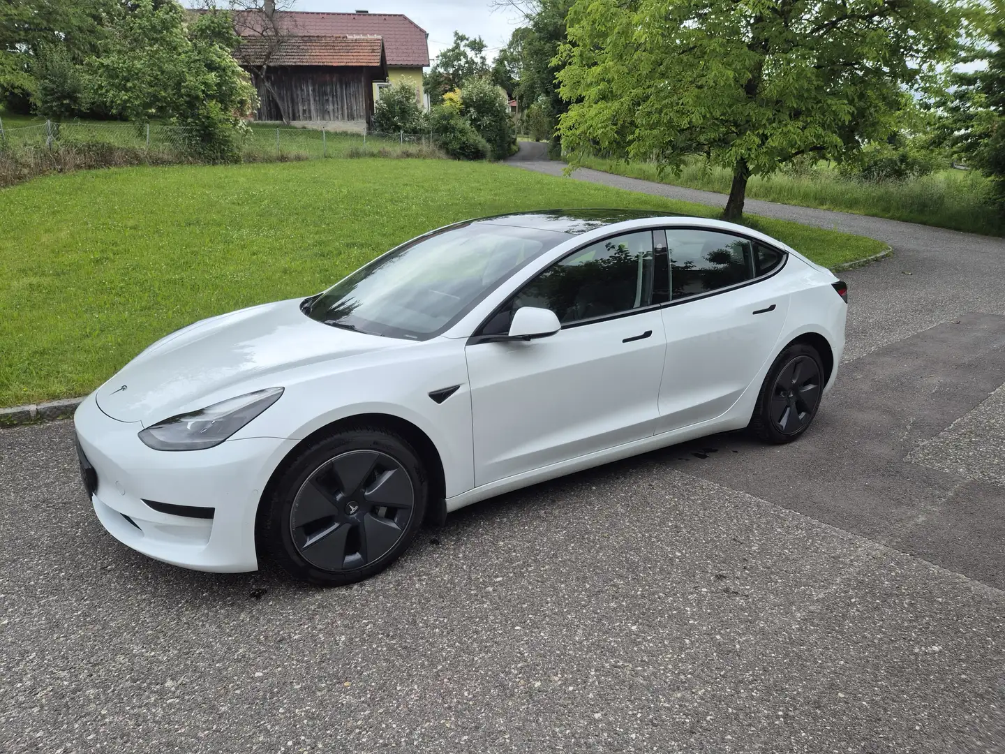 Tesla Model 3 Model 3 Standard Range RWD Plus 57,5kWh RWD Plus Weiß - 1