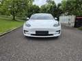 Tesla Model 3 Model 3 Standard Range RWD Plus 57,5kWh RWD Plus Weiß - thumbnail 4