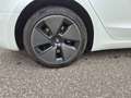 Tesla Model 3 Model 3 Standard Range RWD Plus 57,5kWh RWD Plus Weiß - thumbnail 11