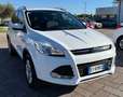 Ford Kuga Kuga II 2013 2.0 tdci Plus 2wd 115cv Bianco - thumbnail 2