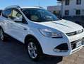 Ford Kuga Kuga II 2013 2.0 tdci Plus 2wd 115cv Bianco - thumbnail 1