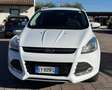 Ford Kuga Kuga II 2013 2.0 tdci Plus 2wd 115cv Bianco - thumbnail 5