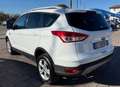 Ford Kuga Kuga II 2013 2.0 tdci Plus 2wd 115cv Bianco - thumbnail 8