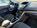 Ford Kuga Kuga II 2013 2.0 tdci Plus 2wd 115cv Bianco - thumbnail 11