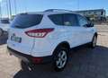 Ford Kuga Kuga II 2013 2.0 tdci Plus 2wd 115cv Bianco - thumbnail 6