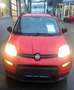 Fiat Panda City Life - thumbnail 2