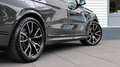 BMW X7 xDrive40i High Executive M-Sport | Sky Lounge | Bo Grau - thumbnail 22