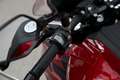 Benelli TRK 502 ABS, sofort Lieferbar Rot - thumbnail 12