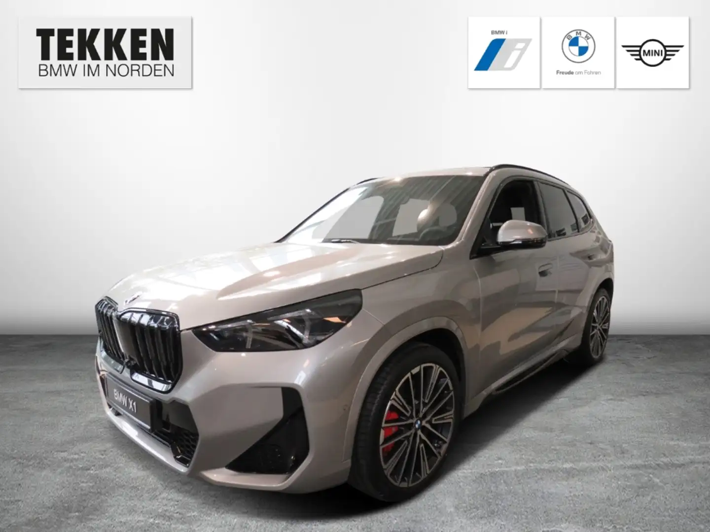 BMW X1 xDrive20d M-Sport Pro/Comfort & Travel Paket Silber - 1