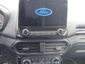 Ford EcoSport Titanium 1.0 EcoBoost EU6d AHK-abnehmbar Klimaauto Rot - thumbnail 10
