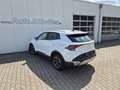 Kia Sportage 1.6 T-GDI MHEV AWD DCT7 Vision Komfort Weiß - thumbnail 4