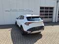 Kia Sportage 1.6 T-GDI MHEV AWD DCT7 Vision Komfort Weiß - thumbnail 6