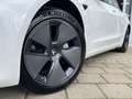 Tesla Model 3 Standard RWD Plus | 55 KWH | Leder | Pano | Info B Wit - thumbnail 10