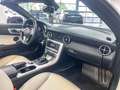 Mercedes-Benz SLK 250 Aut./AMG-Line/Kamera/Harmon-Kardon/SZH/Leder Blanc - thumbnail 12