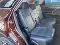 Lexus RX 450h RXL 450h 3.5 Luxury cvt Tetto-Acc-Head-Up -7 pt Marrone - thumbnail 12