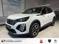 Peugeot 2008 GT HYBRID 145 e-DSC6 Weiß - thumbnail 2