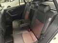 Suzuki Across 2.5 Plug-in Hybrid E-CVT 4WD Top UNI PROP-IVA ESP Bianco - thumbnail 13