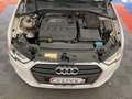 Audi A3 Sportback 5p 1.6 TDI - GARANZIA 24 MESI  - NEOPATE Bianco - thumbnail 15