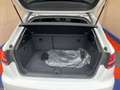 Audi A3 Sportback 5p 1.6 TDI - GARANZIA 24 MESI  - NEOPATE Bianco - thumbnail 14