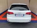 Audi A3 Sportback 5p 1.6 TDI - GARANZIA 24 MESI  - NEOPATE Bianco - thumbnail 5