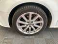 Audi A3 Sportback 5p 1.6 TDI - GARANZIA 24 MESI  - NEOPATE Bianco - thumbnail 17